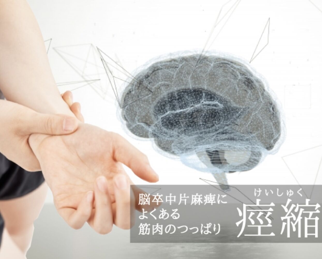 画像3788
