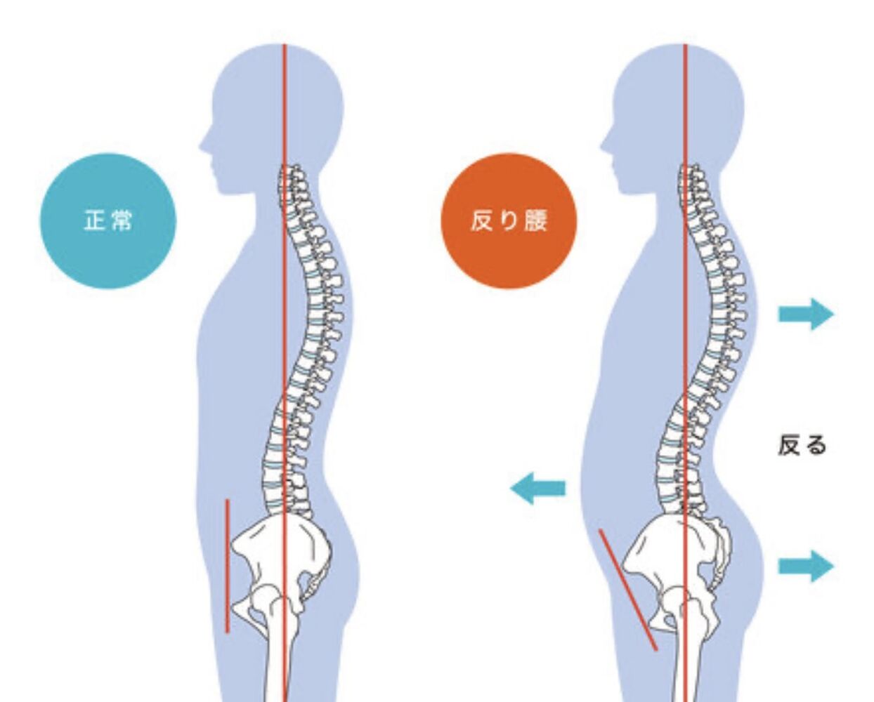 画像4116